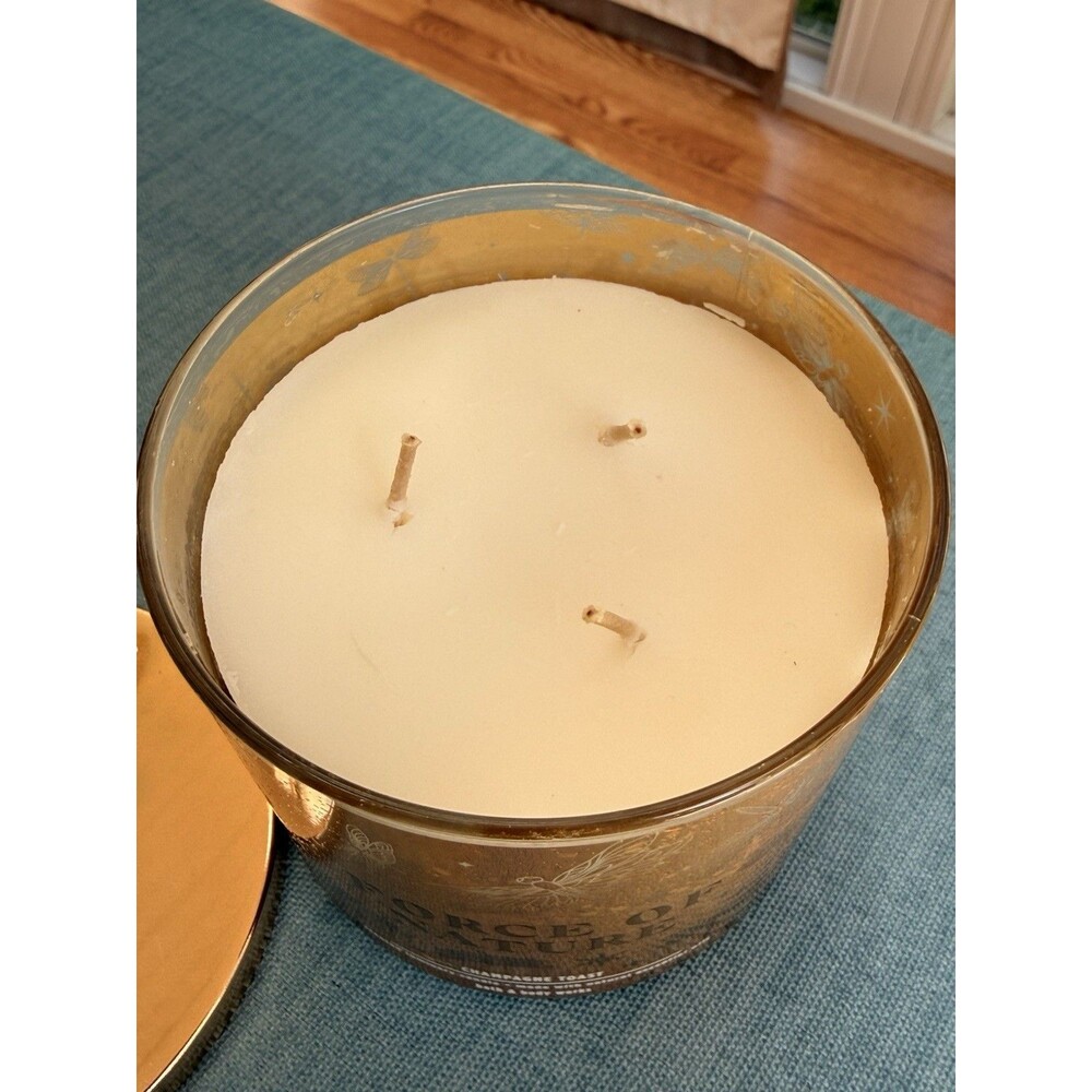 Bath Body Works Force of Nature Dragonfly Gold Luminary 3-wick Candle 14.5oz - Picture 3 of 5